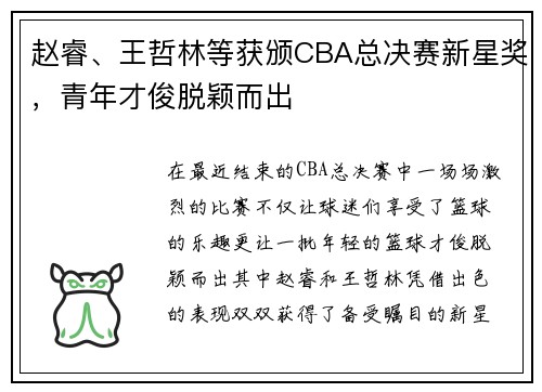赵睿、王哲林等获颁CBA总决赛新星奖，青年才俊脱颖而出