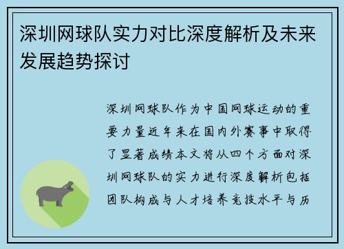 深圳网球队实力对比深度解析及未来发展趋势探讨